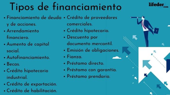 Ejemplos De Financiamiento Interno Y Externo Nuevo Ejemplo Images